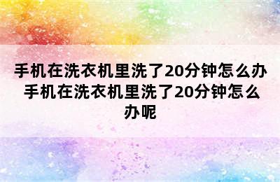 手机在洗衣机里洗了20分钟怎么办 手机在洗衣机里洗了20分钟怎么办呢